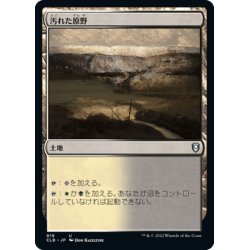 画像1: 【JPN】汚れた原野/Tainted Field[MTG_CLB_919U]