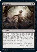 【JPN】屍体の攪拌/Corpse Churn[MTG_CMR_113C]