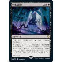 【JPN】野望の宮廷/Court of Ambition[MTG_CMR_114R]