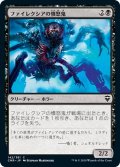 【JPN】ファイレクシアの憤怒鬼/Phyrexian Rager[MTG_CMR_142C]