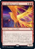 【JPN】オーロラのフェニックス/Aurora Phoenix[MTG_CMR_161R]