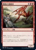 【JPN】鱗剥ぎの捕食者/Ripscale Predator[MTG_CMR_196C]