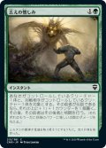 【JPN】古えの憎しみ/Ancient Animus[MTG_CMR_215C]