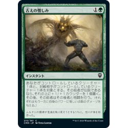 画像1: 【JPN】古えの憎しみ/Ancient Animus[MTG_CMR_215C]