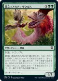 【JPN】苛立つアルティサウルス/Annoyed Altisaur[MTG_CMR_216C]