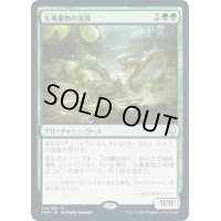 【JPN】生廃棄物の泥塊/Biowaste Blob[MTG_CMR_219R]