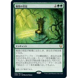 画像1: 【JPN】報奨の宮廷/Court of Bounty[MTG_CMR_220R]