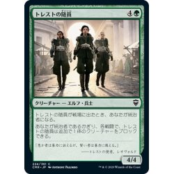 画像1: 【JPN】トレストの随員/Entourage of Trest[MTG_CMR_224C]