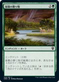 【JPN】楽園の贈り物/Gift of Paradise[MTG_CMR_229C]