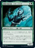 【JPN】回収の接合者、イチ＝テキク/Ich-Tekik, Salvage Splicer[MTG_CMR_233U]