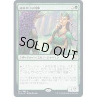 【JPN】清廉潔白な判事/Immaculate Magistrate[MTG_CMR_234R]