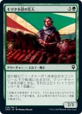 【JPN】キヅタ小径の住人/Ivy Lane Denizen[MTG_CMR_236C]