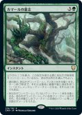 【JPN】カマールの意志/Kamahl's Will[MTG_CMR_238R]