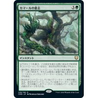 【JPN】カマールの意志/Kamahl's Will[MTG_CMR_238R]