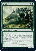 【JPN】腐食獣/Molder Beast[MTG_CMR_243C]