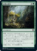 【JPN】自然の再生/Natural Reclamation[MTG_CMR_245C]