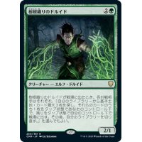 【JPN】樹根織りのドルイド/Rootweaver Druid[MTG_CMR_250R]