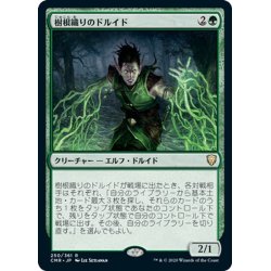 画像1: 【JPN】樹根織りのドルイド/Rootweaver Druid[MTG_CMR_250R]