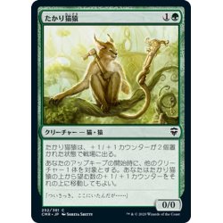 画像1: 【JPN】たかり猫猿/Scrounging Bandar[MTG_CMR_252C]