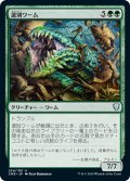 【JPN】選別ワーム/Sifter Wurm[MTG_CMR_254U]