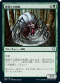 【JPN】棘投げの蜘蛛/Stingerfling Spider[MTG_CMR_258U]