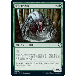 画像1: 【JPN】棘投げの蜘蛛/Stingerfling Spider[MTG_CMR_258U]