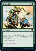 【JPN】野生の寸法/Wildsize[MTG_CMR_264C]