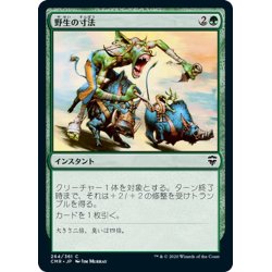 画像1: 【JPN】野生の寸法/Wildsize[MTG_CMR_264C]