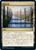 【JPN】★Foil★祖先の道/Path of Ancestry[MTG_CMR_353C]