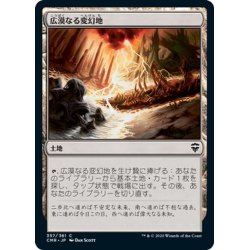 画像1: 【JPN】広漠なる変幻地/Terramorphic Expanse[MTG_CMR_357C]