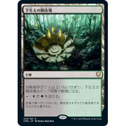 画像1: 【JPN】下生えの競技場/Undergrowth Stadium[MTG_CMR_359R]