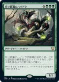 【JPN】切り首嵐のハイドラ/Stumpsquall Hydra[MTG_CMR_367R]