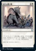 【JPN】過大な贈り物/Generous Gift[MTG_CMR_375U]