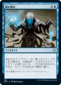 【JPN】嘘か真か/Fact or Fiction[MTG_CMR_396U]