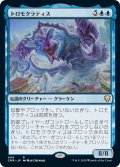 【JPN】トロモクラティス/Tromokratis[MTG_CMR_408R]