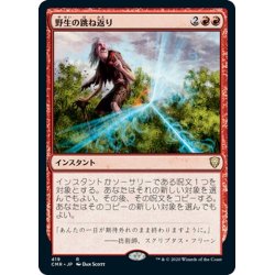 画像1: 【JPN】野生の跳ね返り/Wild Ricochet[MTG_CMR_419R]