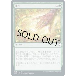 画像1: 【JPN】耕作/Cultivate[MTG_CMR_424C]