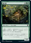 【JPN】胞子塚/Sporemound[MTG_CMR_437C]