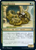 【JPN】とぐろ巻きの巫女/Coiling Oracle[MTG_CMR_443C]