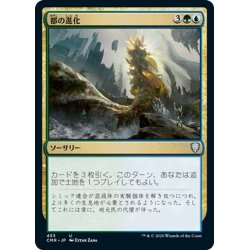 画像1: 【JPN】都の進化/Urban Evolution[MTG_CMR_455U]