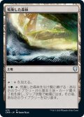 【JPN】荒廃した森林/Blighted Woodland[MTG_CMR_476U]