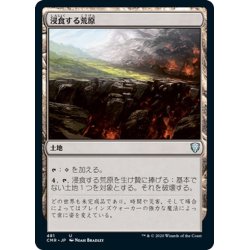 画像1: 【JPN】浸食する荒原/Encroaching Wastes[MTG_CMR_481U]