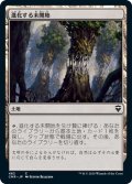 【JPN】進化する未開地/Evolving Wilds[MTG_CMR_482C]