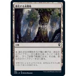 画像1: 【JPN】進化する未開地/Evolving Wilds[MTG_CMR_482C]