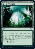 【JPN】ジャングルの盆地/Jungle Basin[MTG_CMR_484U]