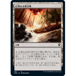 画像1: 【JPN】広漠なる変幻地/Terramorphic Expanse[MTG_CMR_497C]