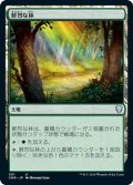 【JPN】鮮烈な林/Vivid Grove[MTG_CMR_501U]