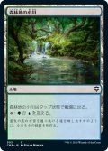 【JPN】森林地の小川/Woodland Stream[MTG_CMR_503C]