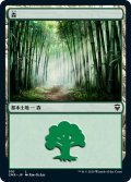 【JPN】森/Forest[MTG_CMR_510L]