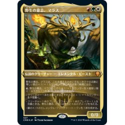 画像1: 【JPN】★Foil★野生の意志、マラス/Marath, Will of the Wild[MTG_CMR_527M]